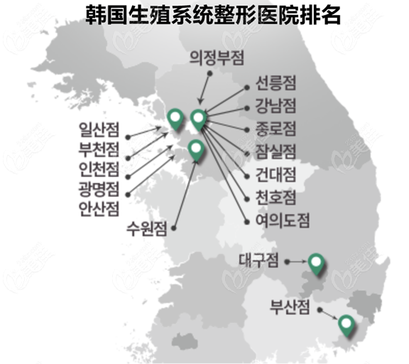 ranking of reproductive system plastic surgery hospitals in South Korea