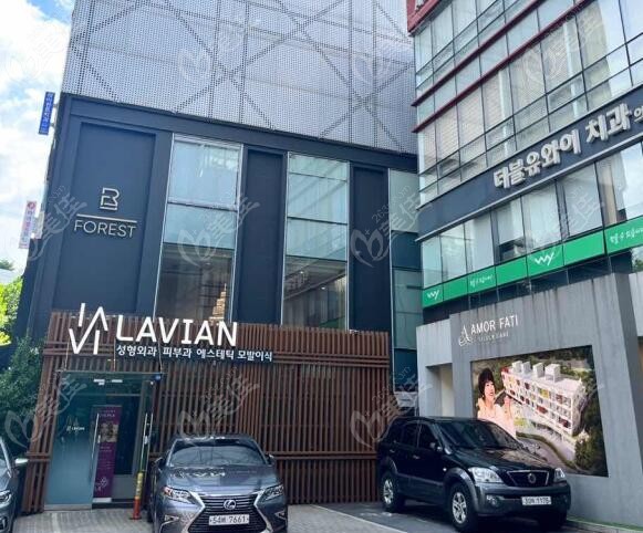 Lavian Plastic Surgery