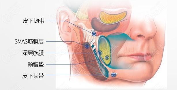 Dr. Park Dongman's Facelift